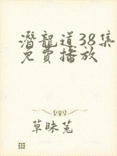 潜龙道38集全免费播放