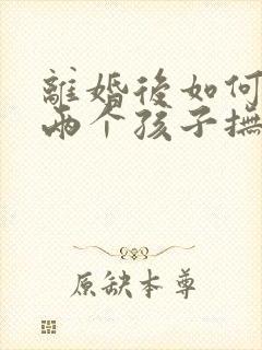 离婚后如何争取两个孩子抚养权