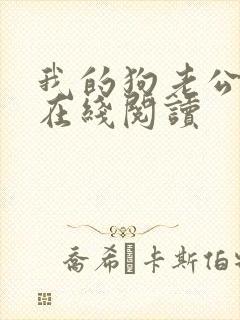 我的狗老公小说在线阅读