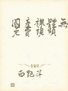 国产裸体无遮挡免费视频