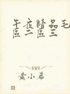 午夜精品毛片一区二区三