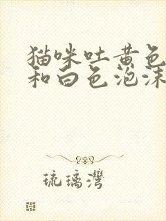 猫咪吐黄色液体和白色泡沫是怎么回事