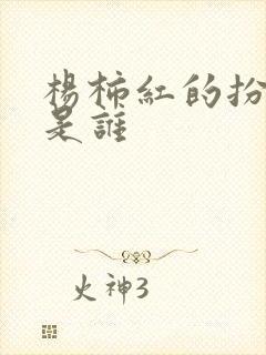 杨柿红的扮演者是谁封面