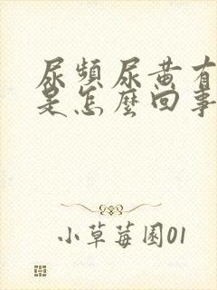 尿频尿黄有异味是怎么回事