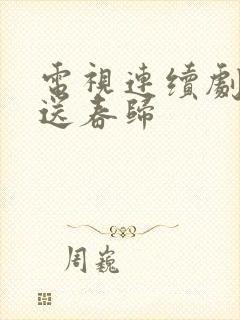 电视连续剧风雨送春归封面