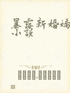 暴露新婚娇妻的小说