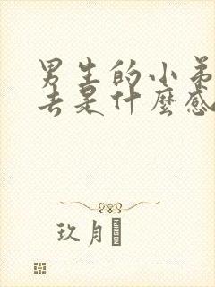 男生的小弟弟进去是什么感觉