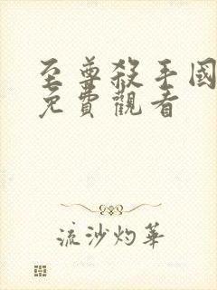 至尊杀手国语版免费观看