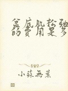 盆底肌松弛治疗的费用是多少