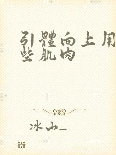 引体向上用到哪些肌肉封面