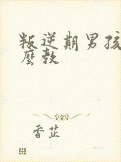 叛逆期男孩子怎么教