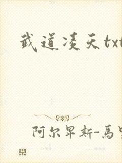 武道凌天txt