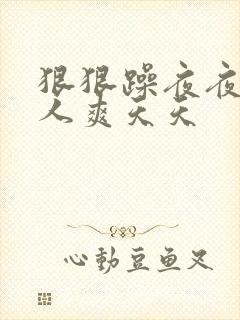 狠狠躁夜夜躁人人爽天天封面