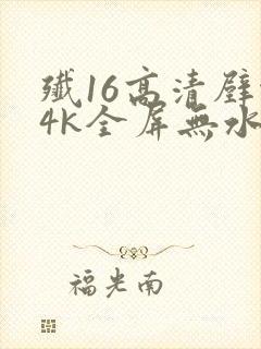 歼16高清壁纸4k全屏无水印