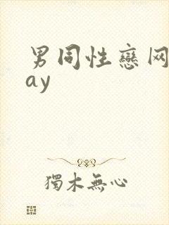 男同性恋网站gay