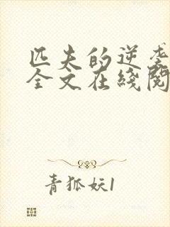 匹夫的逆袭小说全文在线阅读