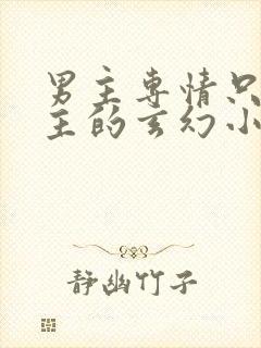 男主专情只爱女主的玄幻小说封面