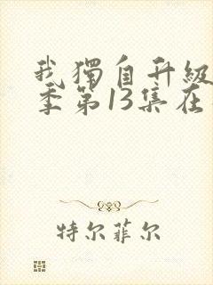 我独自升级第二季第13集在线观看