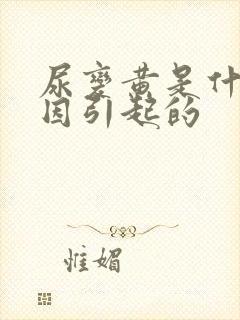 尿变黄是什么原因引起的