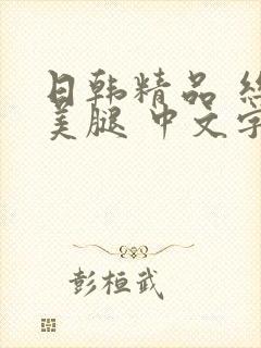 日韩精品 丝袜美腿 中文字幕