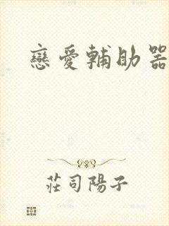 恋爱辅助器,