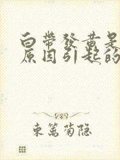 白带发黄是什么原因引起的?