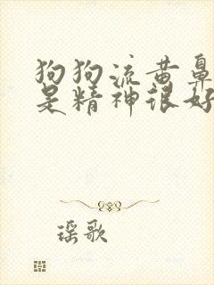 狗狗流黄鼻涕但是精神很好