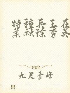 特种兵王在山村叶秋徐秀英