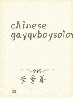 chinesegaygvboysolovideo