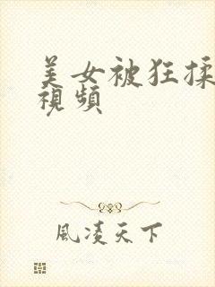 美女被狂揉下部视频