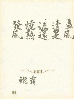 发烧流清鼻涕是风热还是风寒