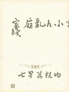 家庭乱h小说在线