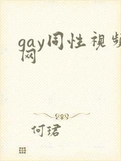 gay同性视频网封面