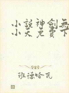 小说神剑无敌杨小天免费下载