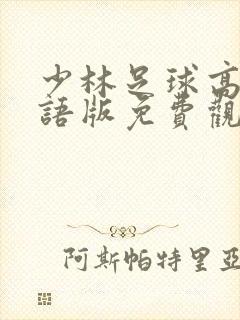 少林足球高清国语版免费观看封面