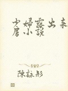 少妇露出来大乳房小说