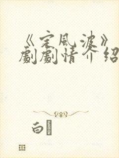 《定风波》电视剧剧情介绍