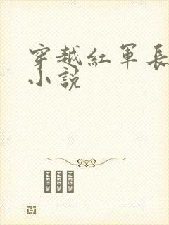 穿越红军长征的小说