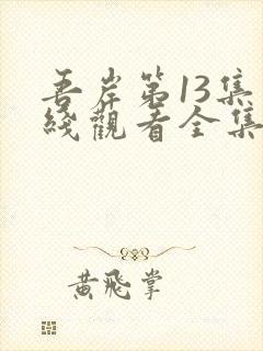 吾岸第13集在线观看全集免费封面