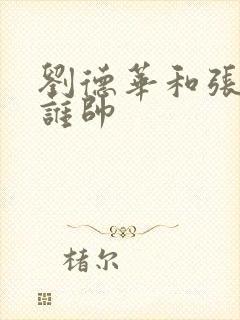 刘德华和张国荣谁帅