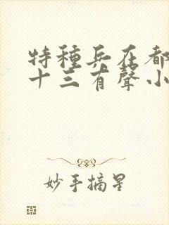 特种兵在都市夜十三有声小说