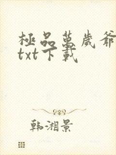 极品万岁爷完本txt下载封面