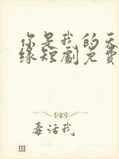 你是我的天赐良缘短剧免费观看