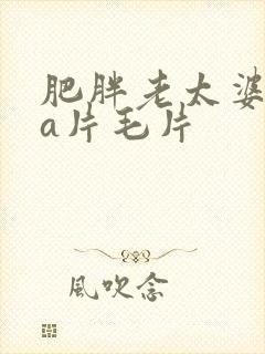 肥胖老太婆aaa片毛片