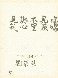 见与不见你都在我心里原唱