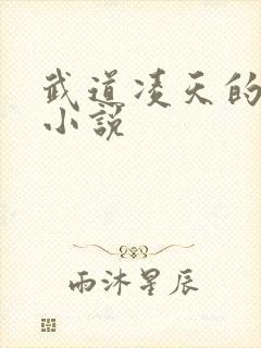 武道凌天的全部小说