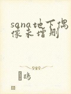 sana地下偶像未增删