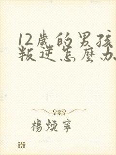 12岁的男孩太叛逆怎么办