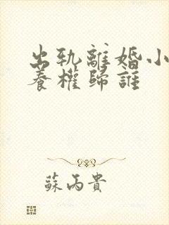 出轨离婚小孩抚养权归谁