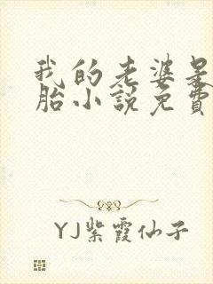 我的老婆是双胞胎小说免费阅读全本